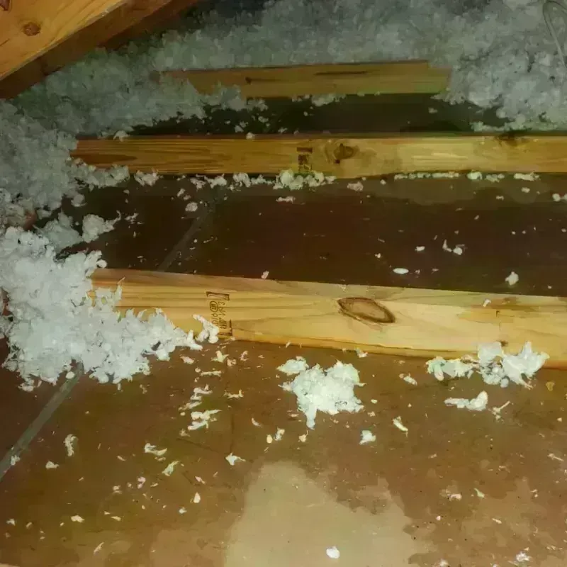 Attic Water Damage in West Rancho Dominguez, CA