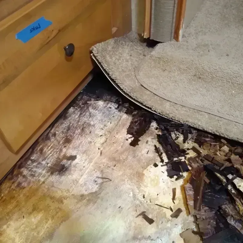 Best Wood Floor Water Damage Service in West Rancho Dominguez, CA